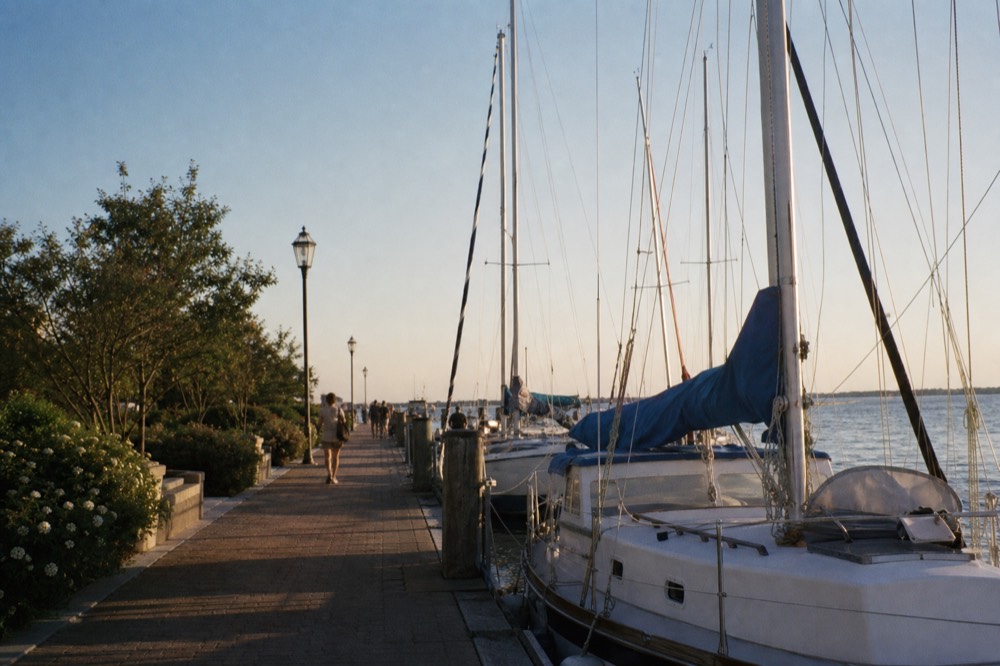 A quiet marina walkway lined with moored sailboats at dusk, low park landscaping on one side and open water beyond